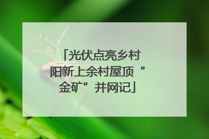 光伏点亮乡村 阳新上余村屋顶“金矿”并网记