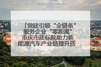 党建引领“全链条” 服务企业“零距离” 重庆市质标院助力新能源汽车产业链提升质量管理水平