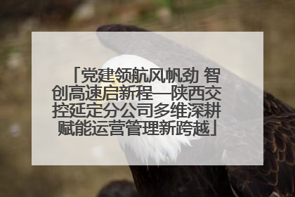 党建领航风帆劲 智创高速启新程—陕西交控延定分公司多维深耕赋能运营管理新跨越