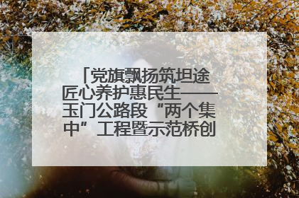 党旗飘扬筑坦途 匠心养护惠民生——玉门公路段“两个集中”工程暨示范桥创建项目圆满收官