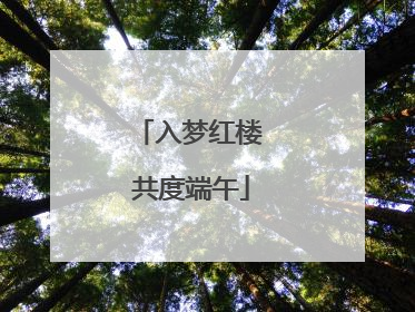 入梦红楼 共度端午