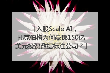 入股Scale AI，扎克伯格为何豪掷150亿美元投资数据标注公司？