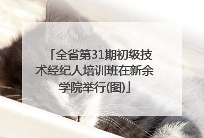 全省第31期初级技术经纪人培训班在新余学院举行(图)