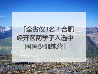 全省仅3名！合肥经开区两学子入选中国国少训练营