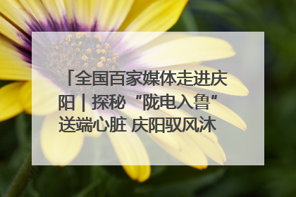 全国百家媒体走进庆阳｜探秘“陇电入鲁”送端心脏 庆阳驭风沐光点亮齐鲁万家