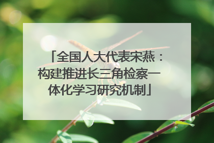 全国人大代表宋燕：构建推进长三角检察一体化学习研究机制