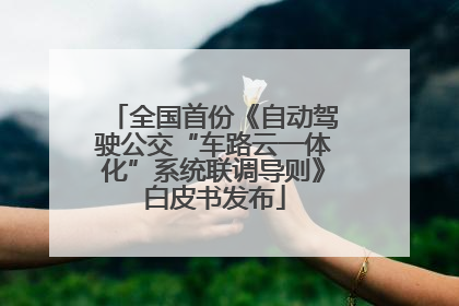全国首份《自动驾驶公交“车路云一体化”系统联调导则》白皮书发布