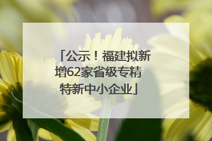 公示！福建拟新增62家省级专精特新中小企业