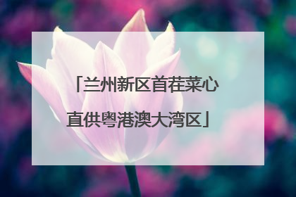 兰州新区首茬菜心直供粤港澳大湾区