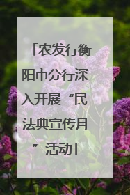 农发行衡阳市分行深入开展“民法典宣传月”活动