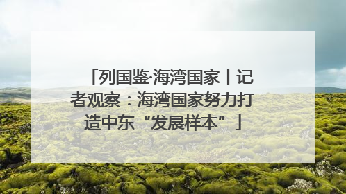 列国鉴·海湾国家丨记者观察：海湾国家努力打造中东“发展样本”