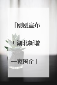 刚刚宣布！湖北新增一家国企