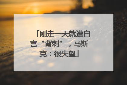 刚走一天就遭白宫“背刺”，马斯克：很失望