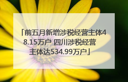 前五月新增涉税经营主体48.15万户 四川涉税经营主体达534.99万户