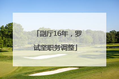 副厅16年，罗试坚职务调整