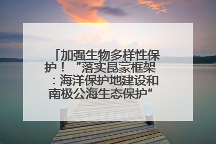 加强生物多样性保护！“落实昆蒙框架：海洋保护地建设和南极公海生态保护”主题论坛将举办