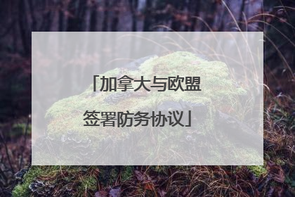 加拿大与欧盟签署防务协议