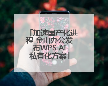 加速国产化进程 金山办公发布WPS AI私有化方案