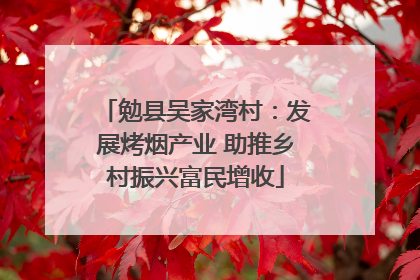 勉县吴家湾村：发展烤烟产业 助推乡村振兴富民增收
