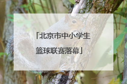 北京市中小学生篮球联赛落幕