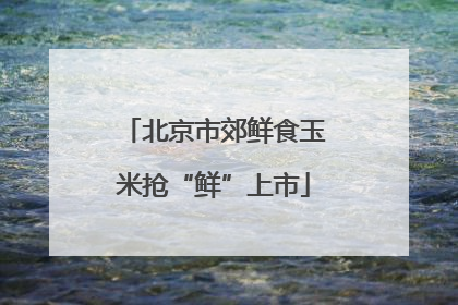 北京市郊鲜食玉米抢“鲜”上市