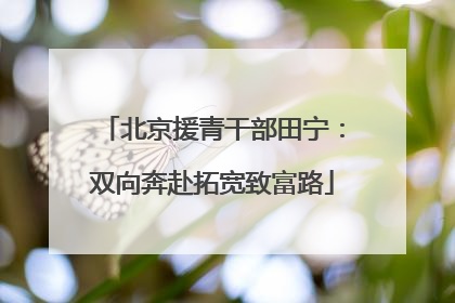 北京援青干部田宁：双向奔赴拓宽致富路