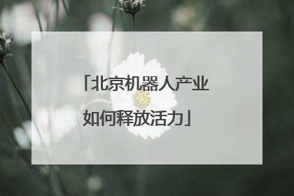 北京机器人产业如何释放活力