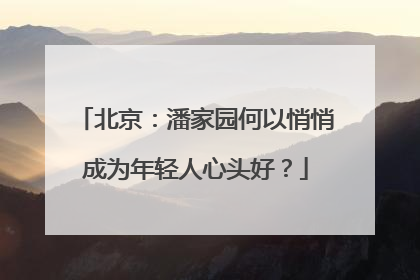 北京：潘家园何以悄悄成为年轻人心头好？