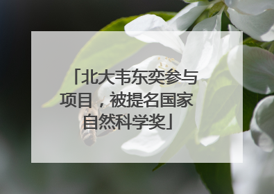 北大韦东奕参与项目，被提名国家自然科学奖