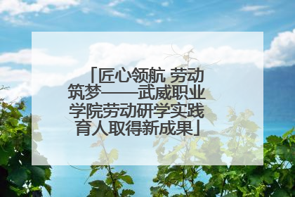 匠心领航 劳动筑梦——武威职业学院劳动研学实践育人取得新成果