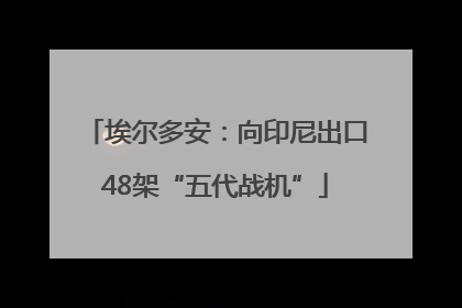 埃尔多安：向印尼出口48架“五代战机”
