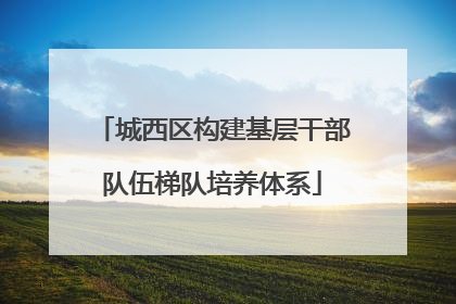 城西区构建基层干部队伍梯队培养体系