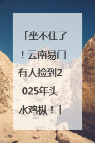坐不住了！云南易门有人捡到2025年头水鸡枞！