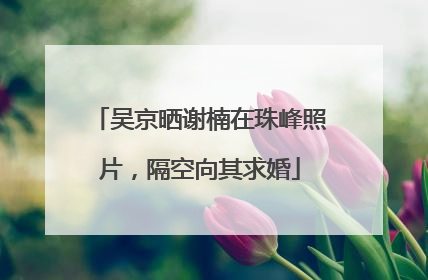 吴京晒谢楠在珠峰照片，隔空向其求婚