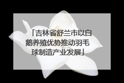 吉林省舒兰市以白鹅养殖优势推动羽毛球制造产业发展