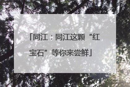 同江：同江这颗“红宝石”等你来尝鲜
