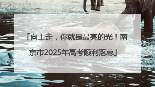 向上走，你就是最亮的光！南京市2025年高考顺利落幕