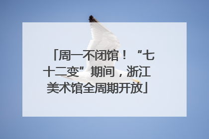 周一不闭馆！“七十二变”期间，浙江美术馆全周期开放