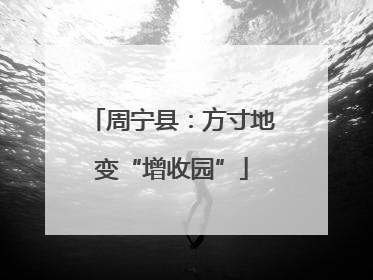 周宁县：方寸地变“增收园”