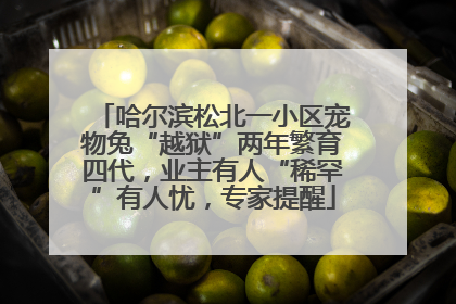 哈尔滨松北一小区宠物兔“越狱”两年繁育四代，业主有人“稀罕”有人忧，专家提醒