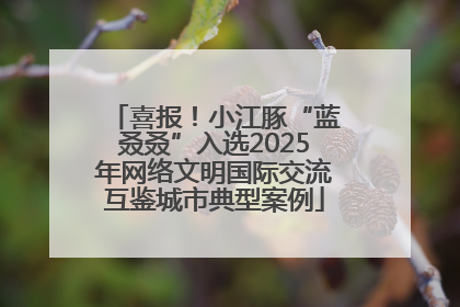 喜报！小江豚“蓝叒叒”入选2025年网络文明国际交流互鉴城市典型案例