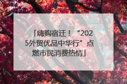 嗨购宿迁！“2025外贸优品中华行”点燃市民消费热情