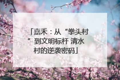 嘉禾：从“拳头村”到文明标杆 清水村的逆袭密码