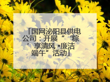 国网泌阳县供电公司：开展“‘粽’享清风 •廉洁端午”活动