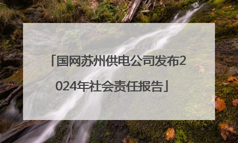国网苏州供电公司发布2024年社会责任报告