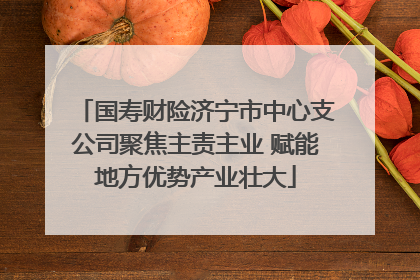 国寿财险济宁市中心支公司聚焦主责主业 赋能地方优势产业壮大