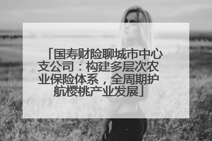 国寿财险聊城市中心支公司：构建多层次农业保险体系，全周期护航樱桃产业发展
