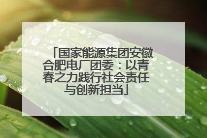 国家能源集团安徽合肥电厂团委：以青春之力践行社会责任与创新担当