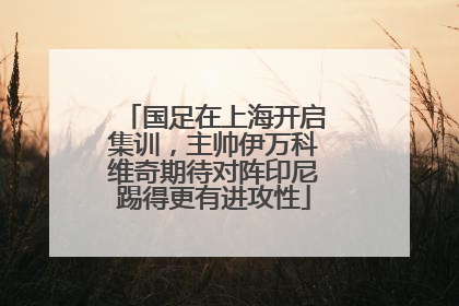 国足在上海开启集训，主帅伊万科维奇期待对阵印尼踢得更有进攻性