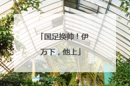 国足换帅！伊万下，他上